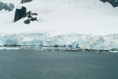 2015 Paridise Bay Antartica