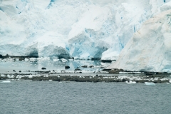 Paradise Bay