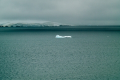 2015 Paridise Bay Antartica