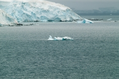 2015 Paridise Bay Antartica