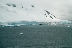 2015 Paridise Bay Antartica