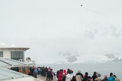 2015 Paridise Bay Antartica