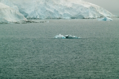 2015 Paridise Bay Antartica