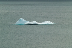 2015 Paridise Bay Antartica