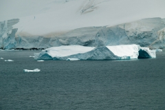 2015 Paridise Bay Antartica