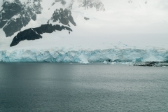 2015 Paridise Bay Antartica