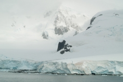 2015 Paridise Bay Antartica