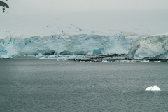 2015 Paridise Bay Antartica