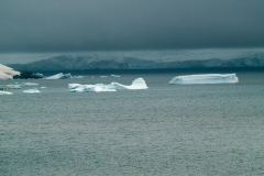 2015 Paridise Bay Antartica