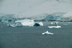 2015 Paridise Bay Antartica
