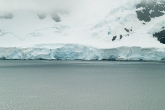 2015 Paridise Bay Antartica