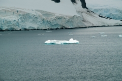 2015 Paridise Bay Antartica