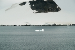 2015 Paridise Bay Antartica