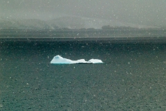 2015 Paridise Bay Antartica