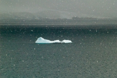 2015 Paridise Bay Antartica