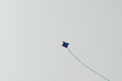 2015 Paridise Bay Antartica