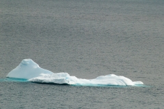 2015 Paridise Bay Antartica