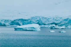 2015 Paridise Bay Antartica