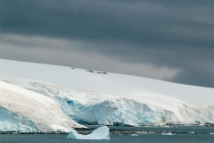 2015 Paridise Bay Antartica