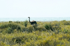 Puetro Madryn