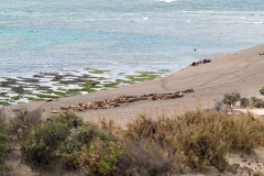 Puetro Madryn