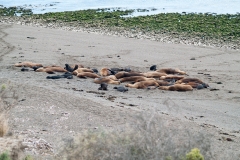 Puetro Madryn