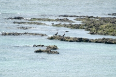 Puetro Madryn
