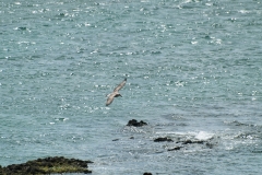 Puetro Madryn