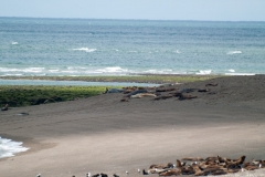 Puetro Madryn