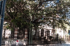 Recoleta