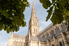 2015 Salisbury England