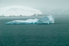 2015 Schollart Channel Antartica