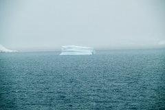 2015 Schollart Channel Antartica
