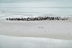 2015 Stanley Falkland Islands