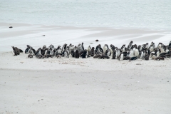 2015 Stanley Falkland Islands