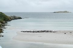 2015 Stanley Falkland Islands