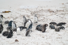 2015 Stanley Falkland Islands
