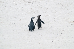 2015 Stanley Falkland Islands