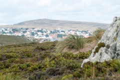 2015 Stanley Falkland Islands