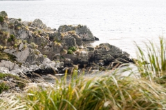 2015 Stanley Falkland Islands