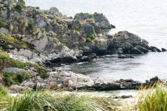 2015 Stanley Falkland Islands