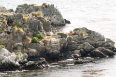 2015 Stanley Falkland Islands