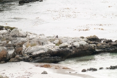 2015 Stanley Falkland Islands