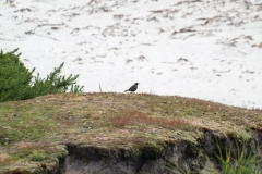 2015 Stanley Falkland Islands