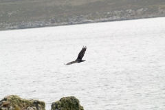 2015 Stanley Falkland Islands