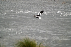 2015 Stanley Falkland Islands