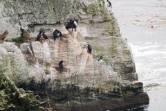 2015 Stanley Falkland Islands