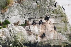 2015 Stanley Falkland Islands