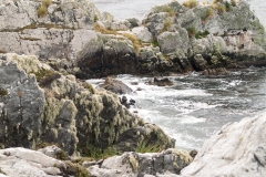 2015 Stanley Falkland Islands