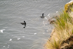 2015 Stanley Falkland Islands